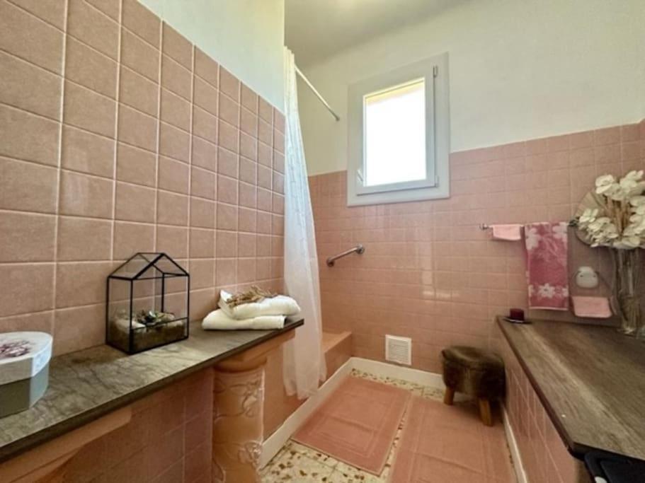 Appartement St Laurent Saint-Laurent-de-la-Salanque Esterno foto